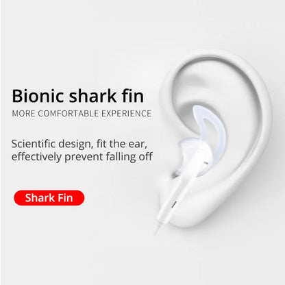 EARDECO Silicone Eartips &amp; Ear Hooks